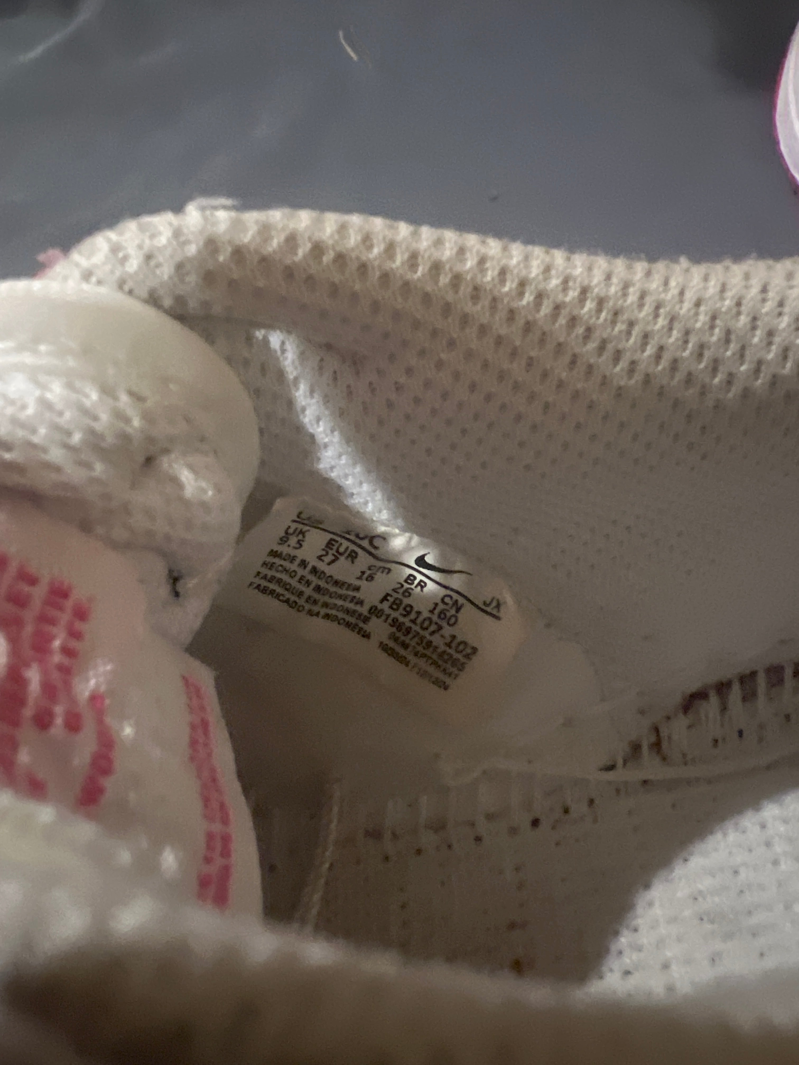 Nike girls low dunk